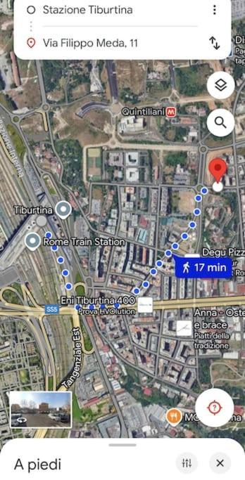 Liu Tiburtina In *